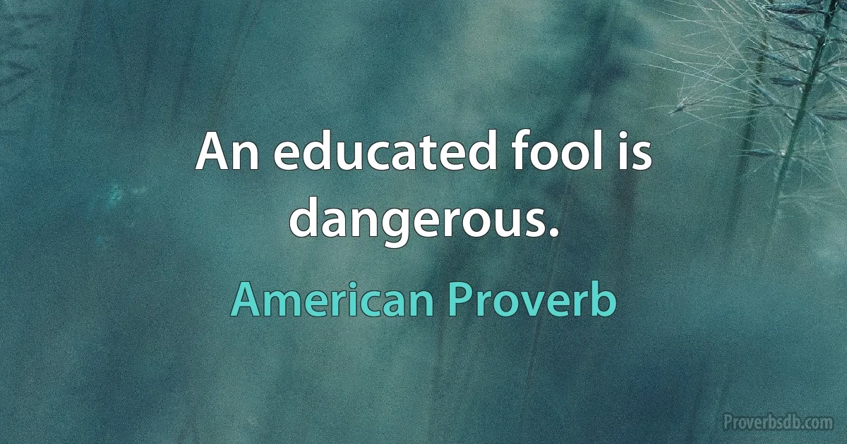 An educated fool is dangerous. (American Proverb)