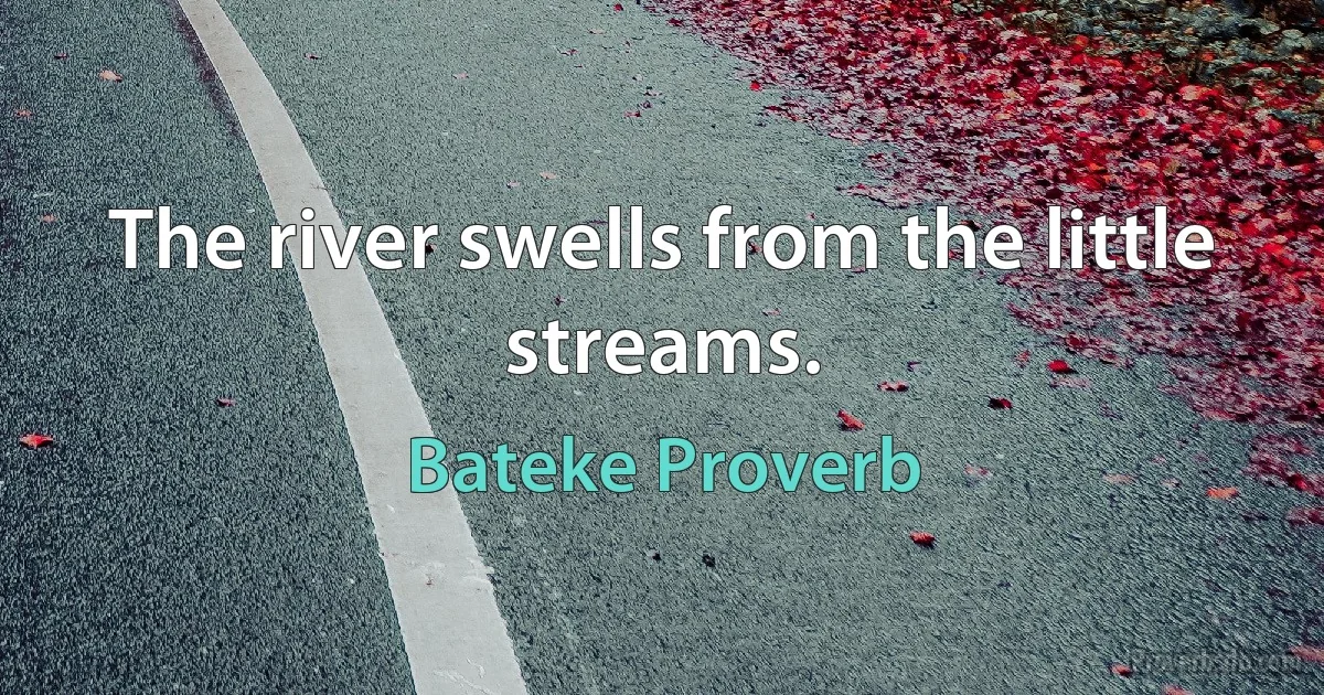 The river swells from the little streams. (Bateke Proverb)