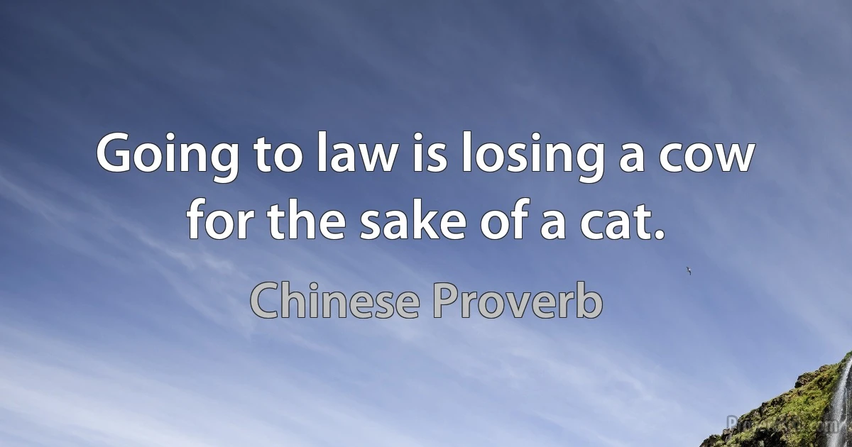 Going to law is losing a cow for the sake of a cat. (Chinese Proverb)