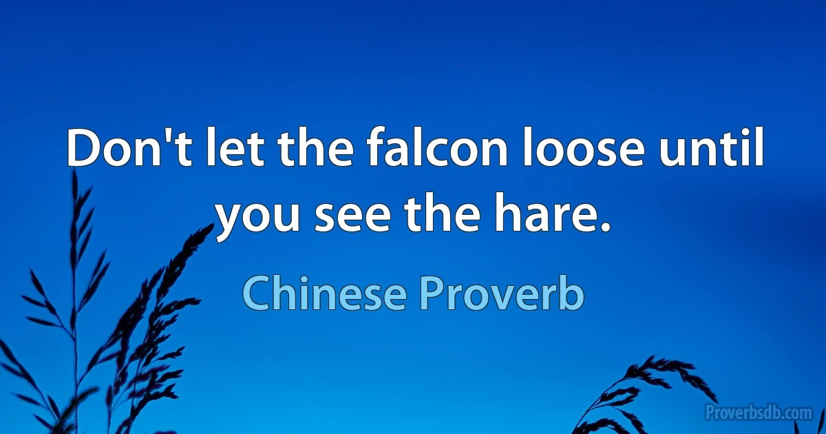 Don't let the falcon loose until you see the hare. (Chinese Proverb)