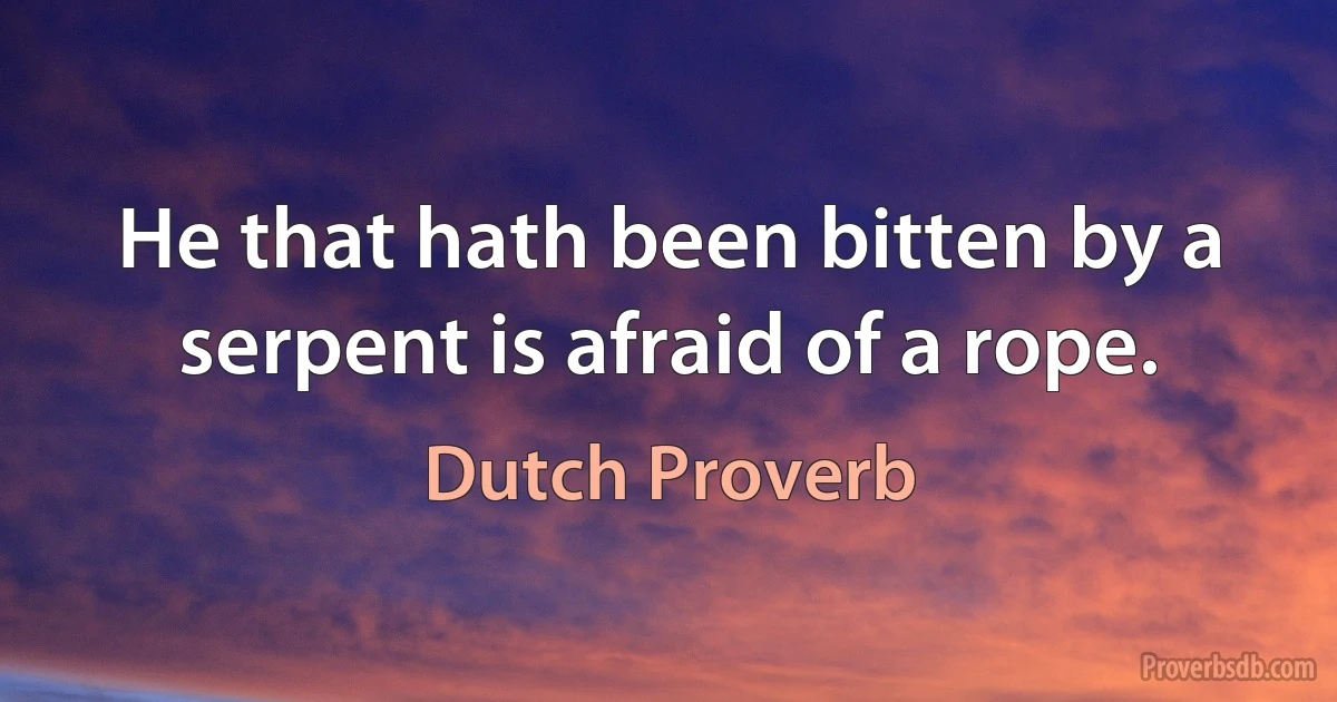 He that hath been bitten by a serpent is afraid of a rope. (Dutch Proverb)