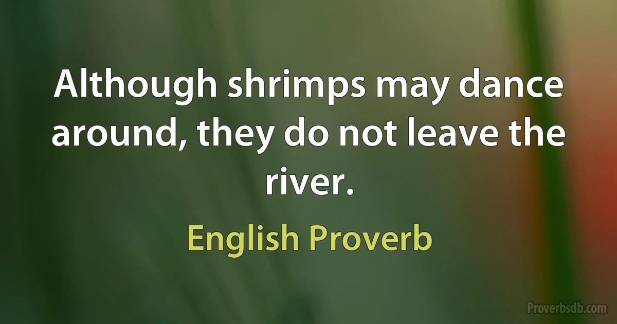 Although shrimps may dance around, they do not leave the river. (English Proverb)