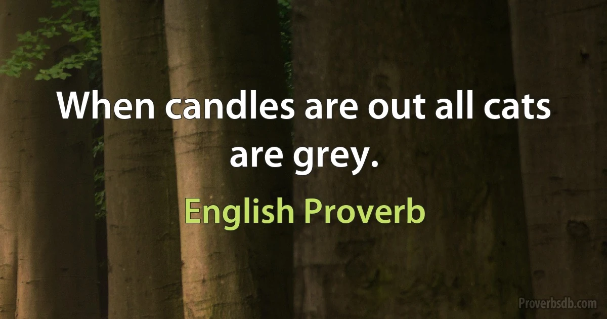 When candles are out all cats are grey. (English Proverb)