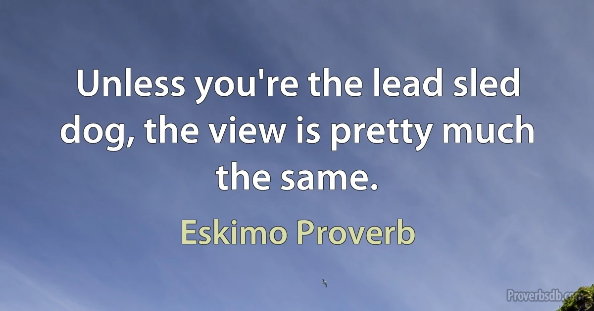 Unless you're the lead sled dog, the view is pretty much the same. (Eskimo Proverb)