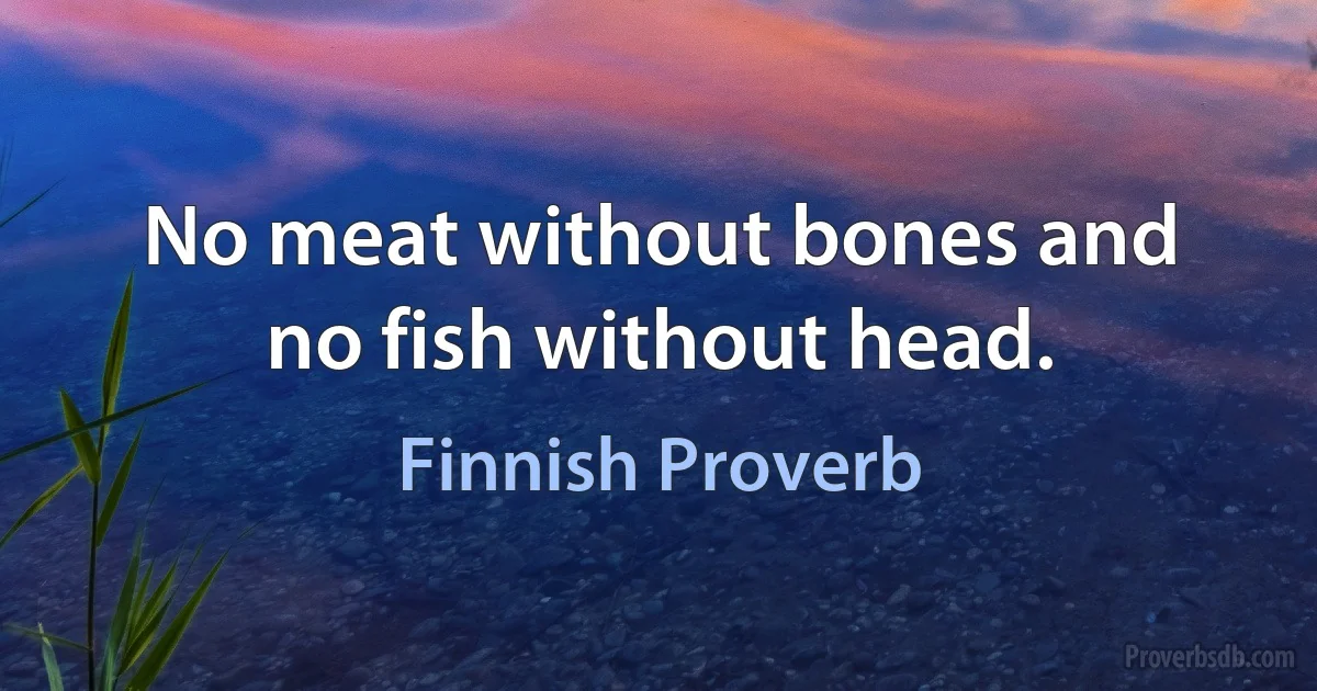 No meat without bones and no fish without head. (Finnish Proverb)