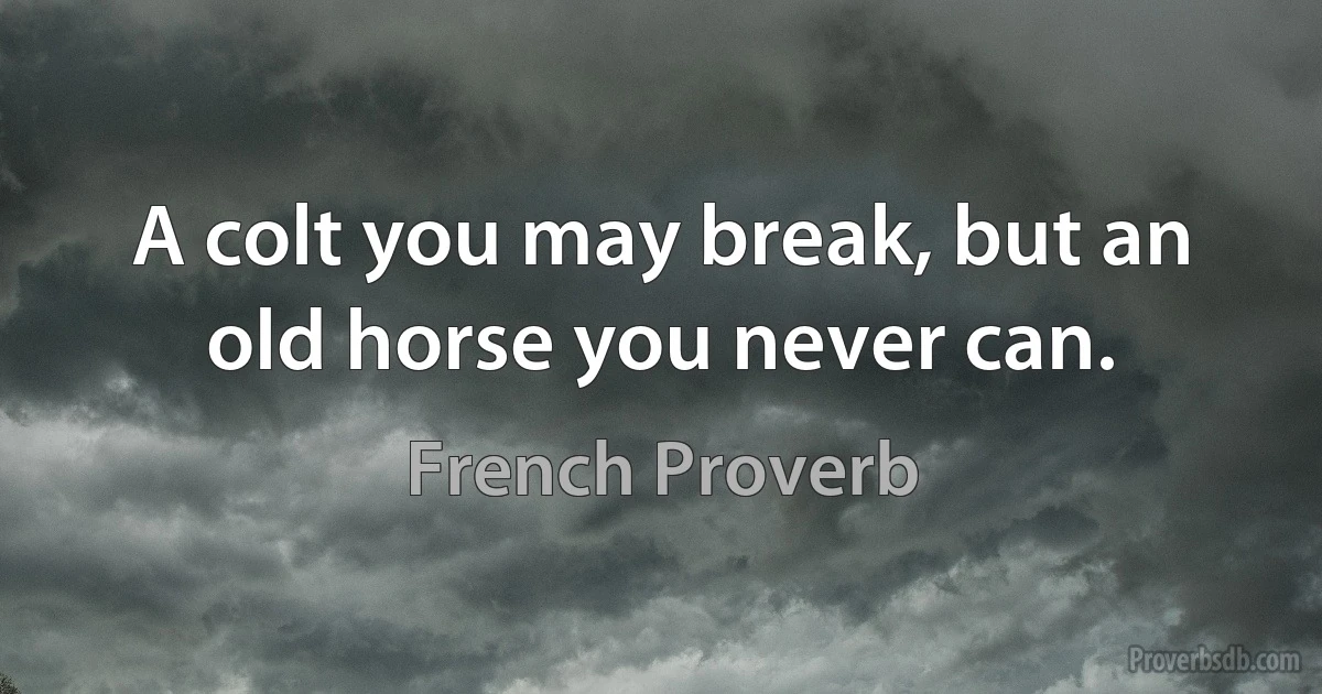 A colt you may break, but an old horse you never can. (French Proverb)