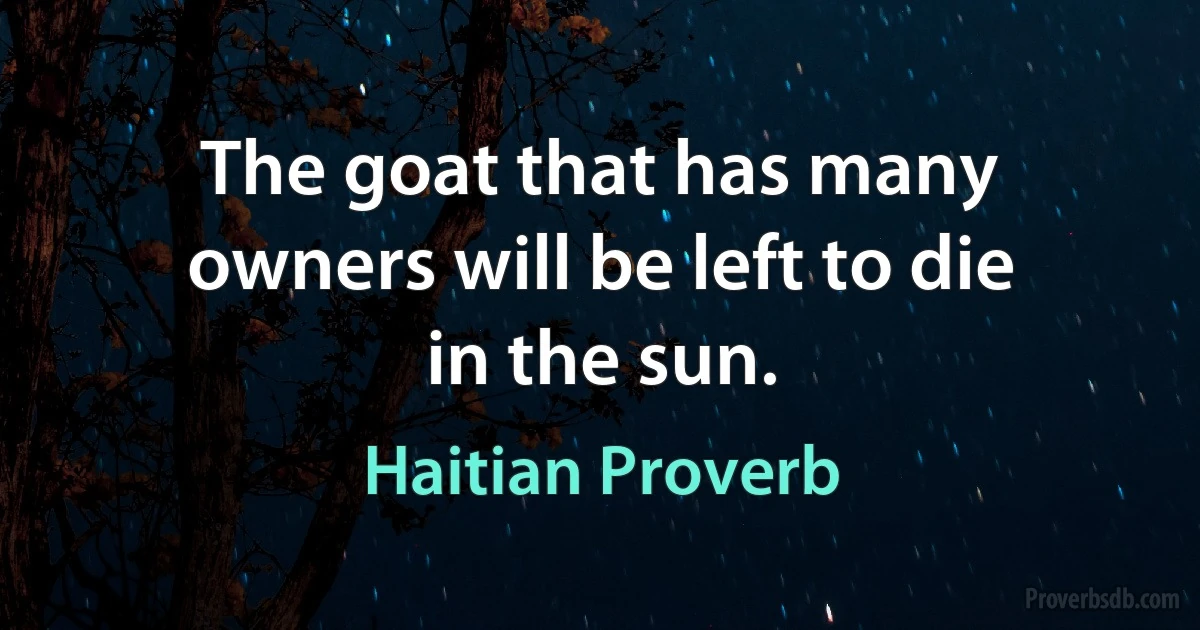 The goat that has many owners will be left to die in the sun. (Haitian Proverb)