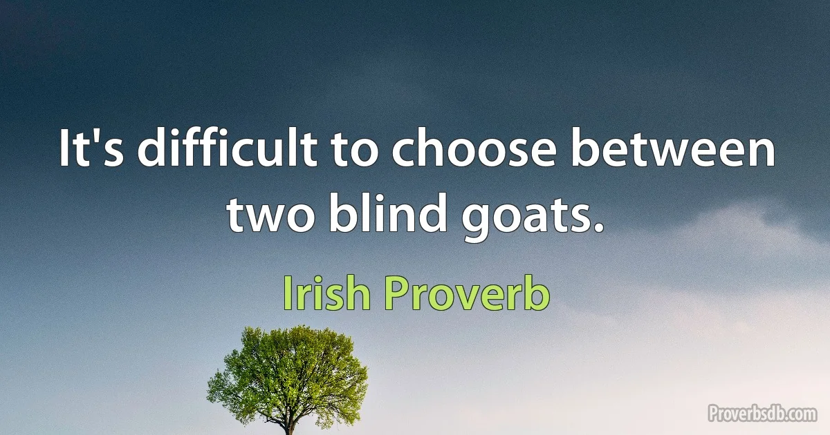 It's difficult to choose between two blind goats. (Irish Proverb)