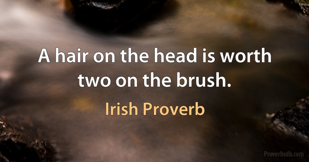 A hair on the head is worth two on the brush. (Irish Proverb)