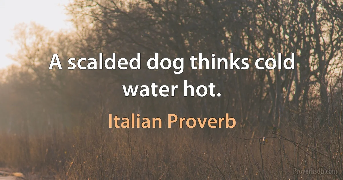 A scalded dog thinks cold water hot. (Italian Proverb)