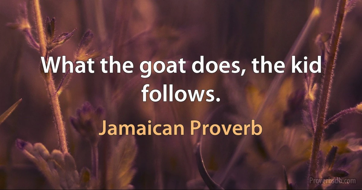 What the goat does, the kid follows. (Jamaican Proverb)