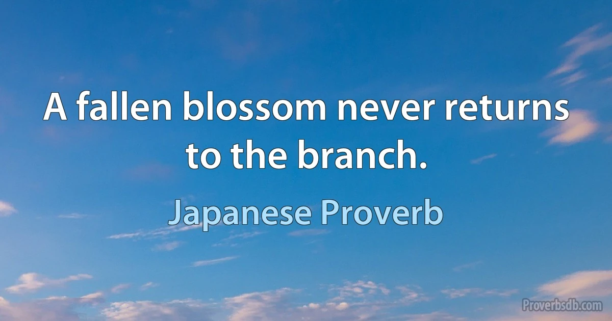 A fallen blossom never returns to the branch. (Japanese Proverb)