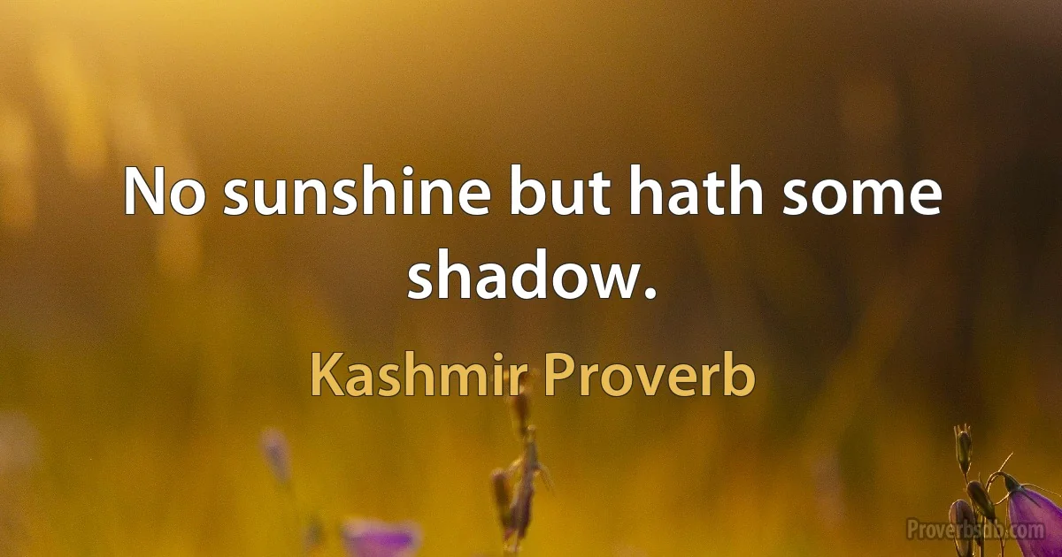 No sunshine but hath some shadow. (Kashmir Proverb)