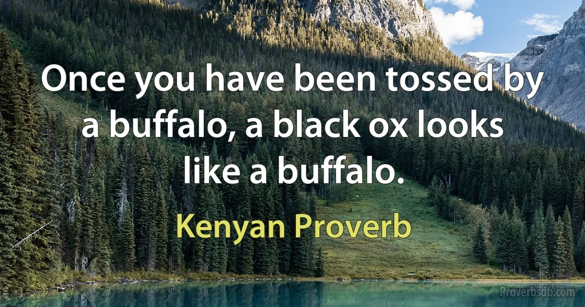 Once you have been tossed by a buffalo, a black ox looks like a buffalo. (Kenyan Proverb)