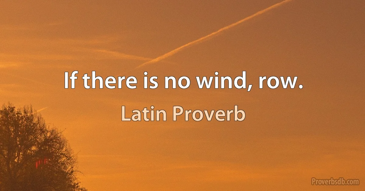 If there is no wind, row. (Latin Proverb)