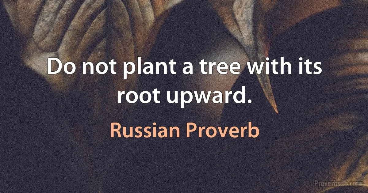 Do not plant a tree with its root upward. (Russian Proverb)