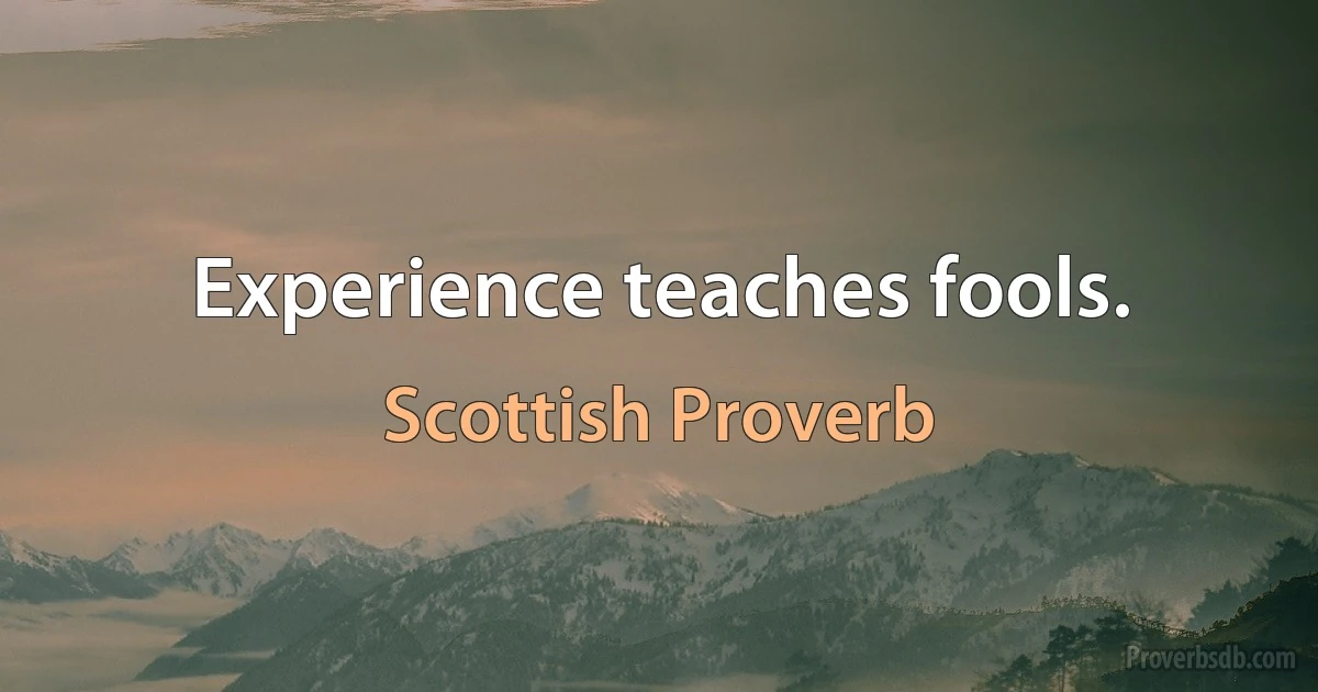 Experience teaches fools. (Scottish Proverb)