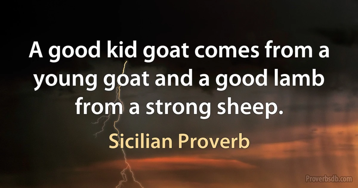 A good kid goat comes from a young goat and a good lamb from a strong sheep. (Sicilian Proverb)