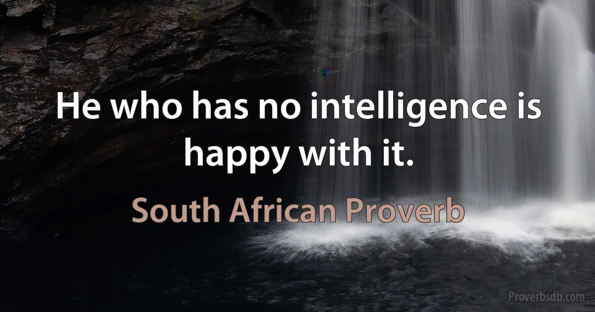 He who has no intelligence is happy with it. (South African Proverb)