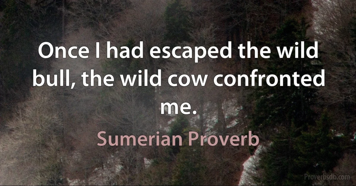 Once I had escaped the wild bull, the wild cow confronted me. (Sumerian Proverb)