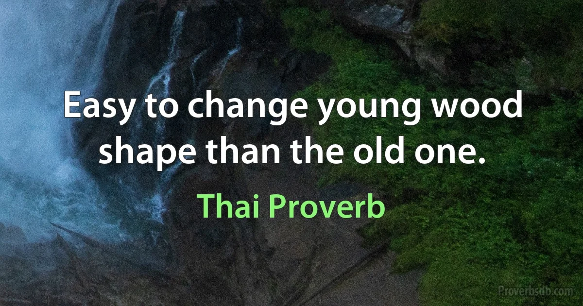 Easy to change young wood shape than the old one. (Thai Proverb)