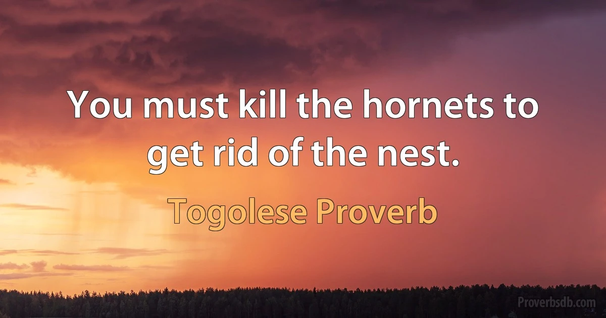 You must kill the hornets to get rid of the nest. (Togolese Proverb)