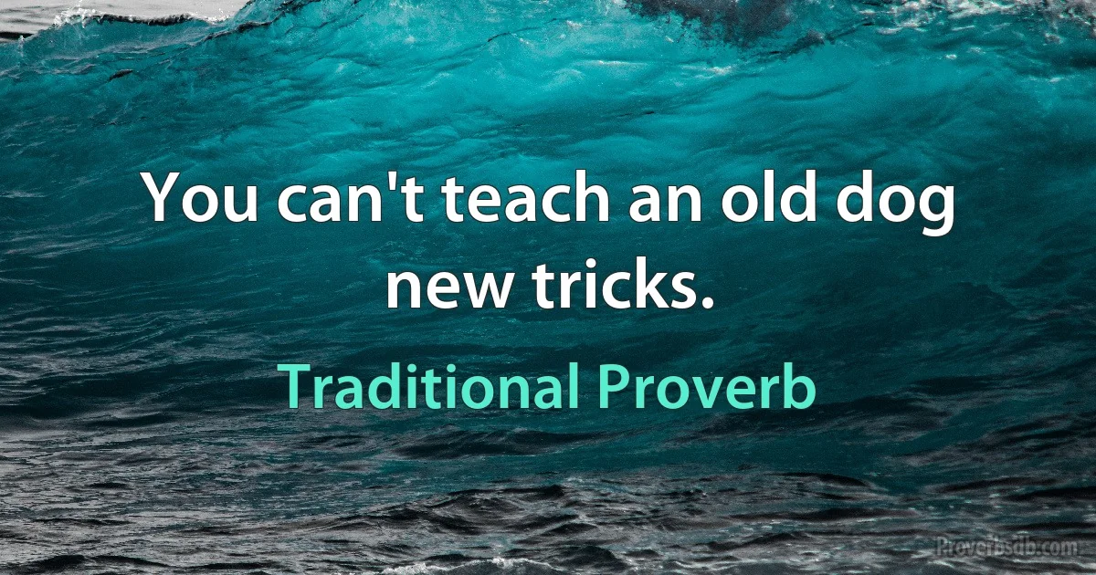 You can't teach an old dog new tricks. (Traditional Proverb)