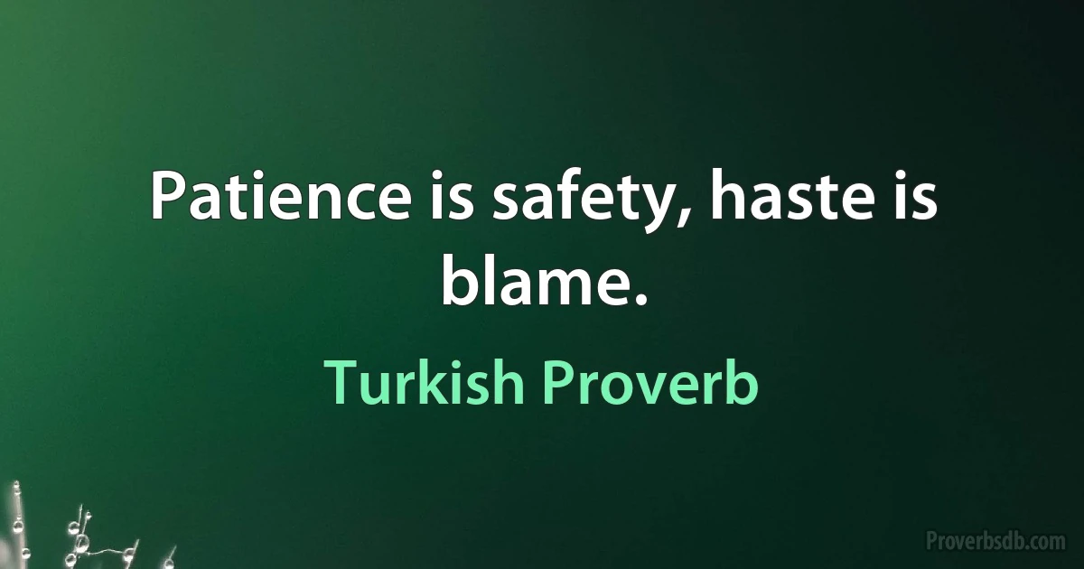 Patience is safety, haste is blame. (Turkish Proverb)