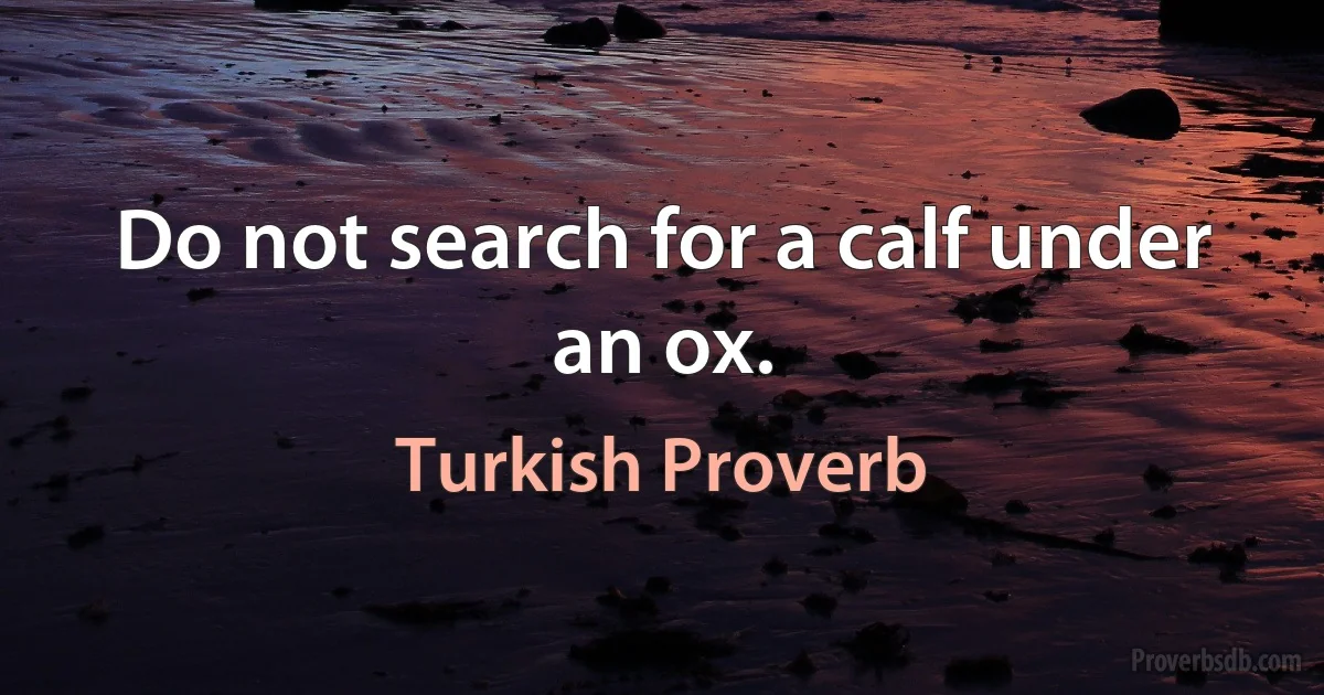 Do not search for a calf under an ox. (Turkish Proverb)