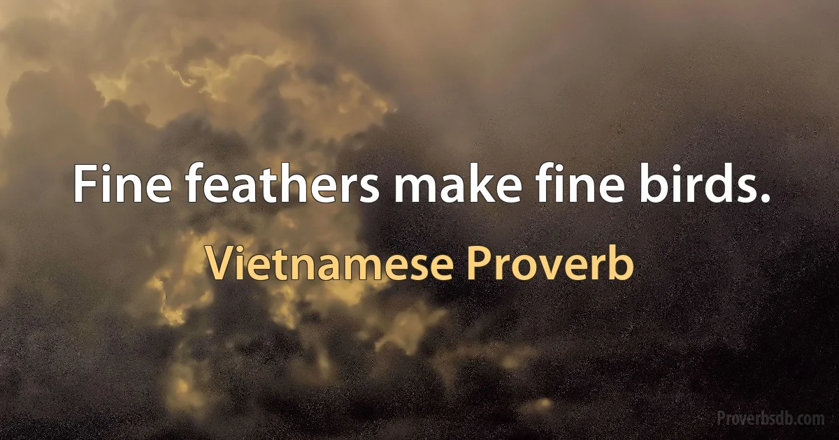 Fine feathers make fine birds. (Vietnamese Proverb)