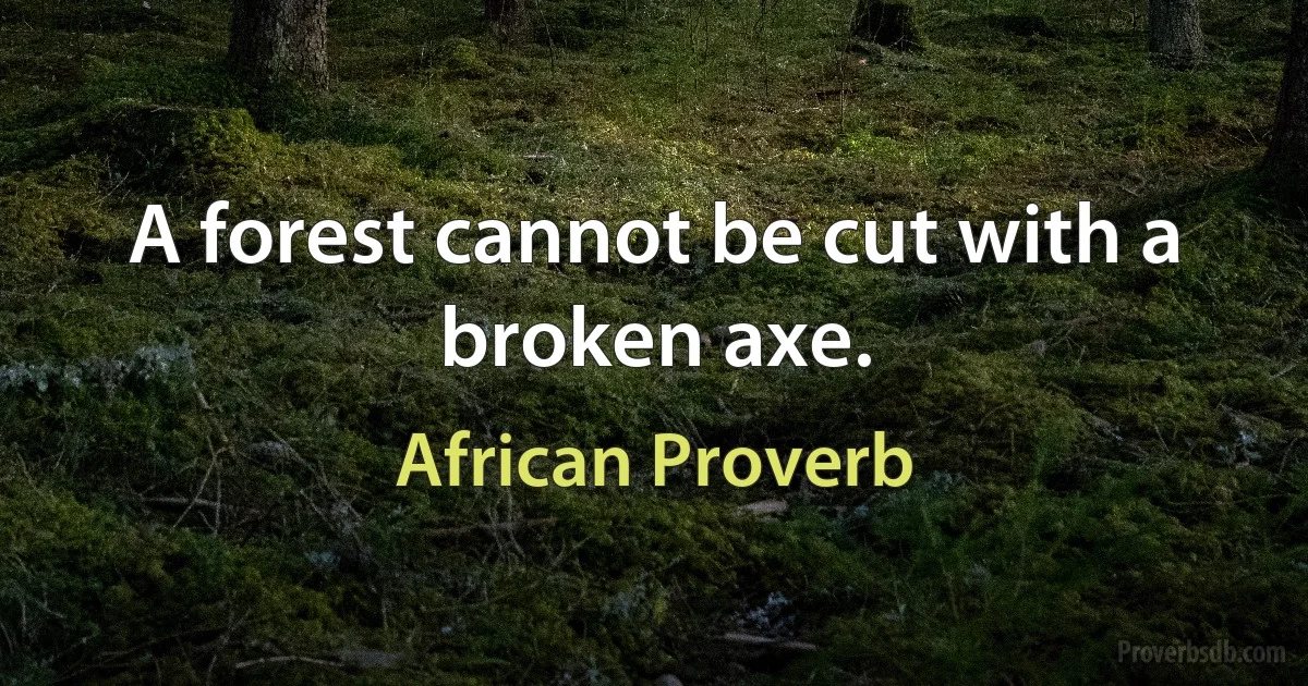 A forest cannot be cut with a broken axe. (African Proverb)