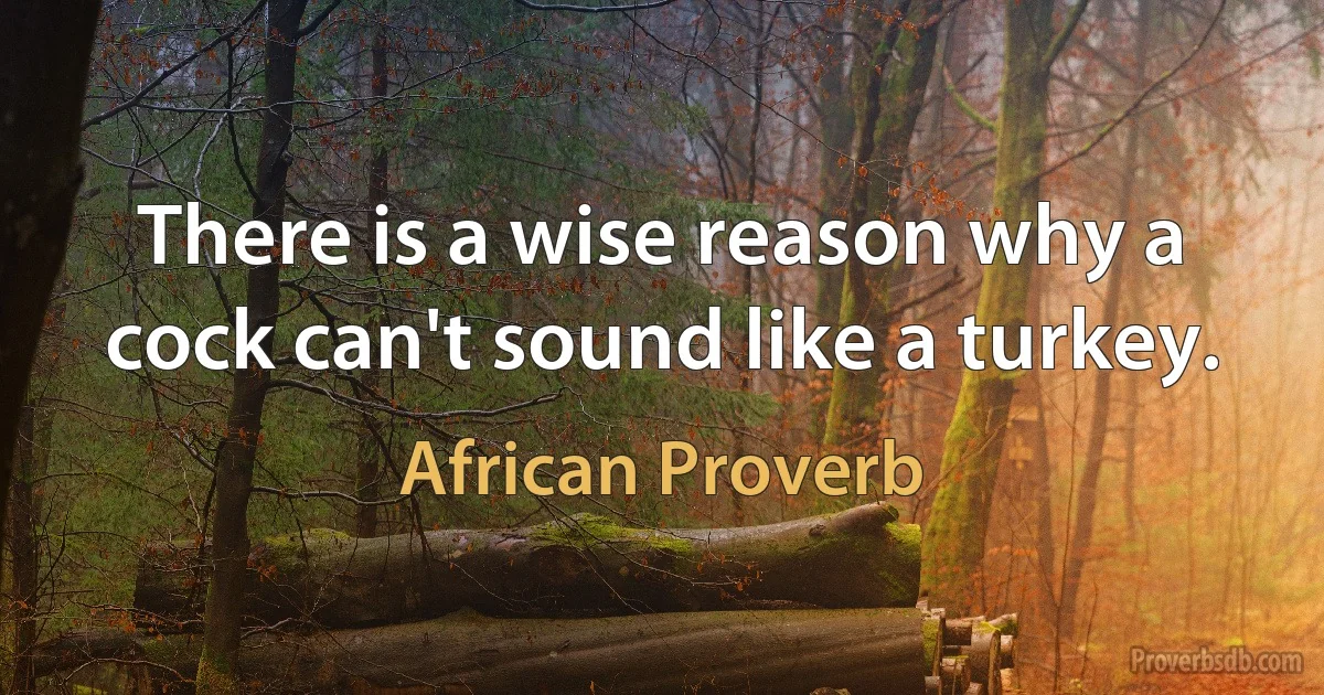 There is a wise reason why a cock can't sound like a turkey. (African Proverb)