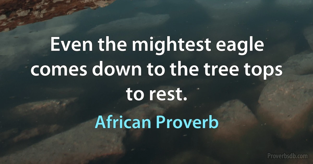 Even the mightest eagle comes down to the tree tops to rest. (African Proverb)