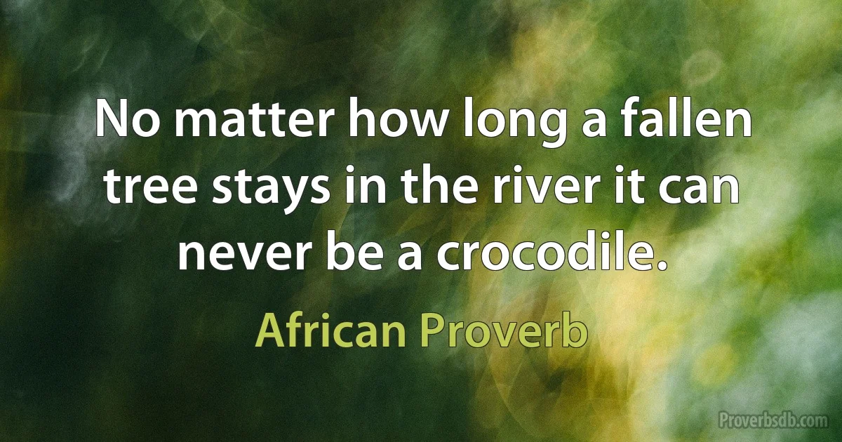 No matter how long a fallen tree stays in the river it can never be a crocodile. (African Proverb)