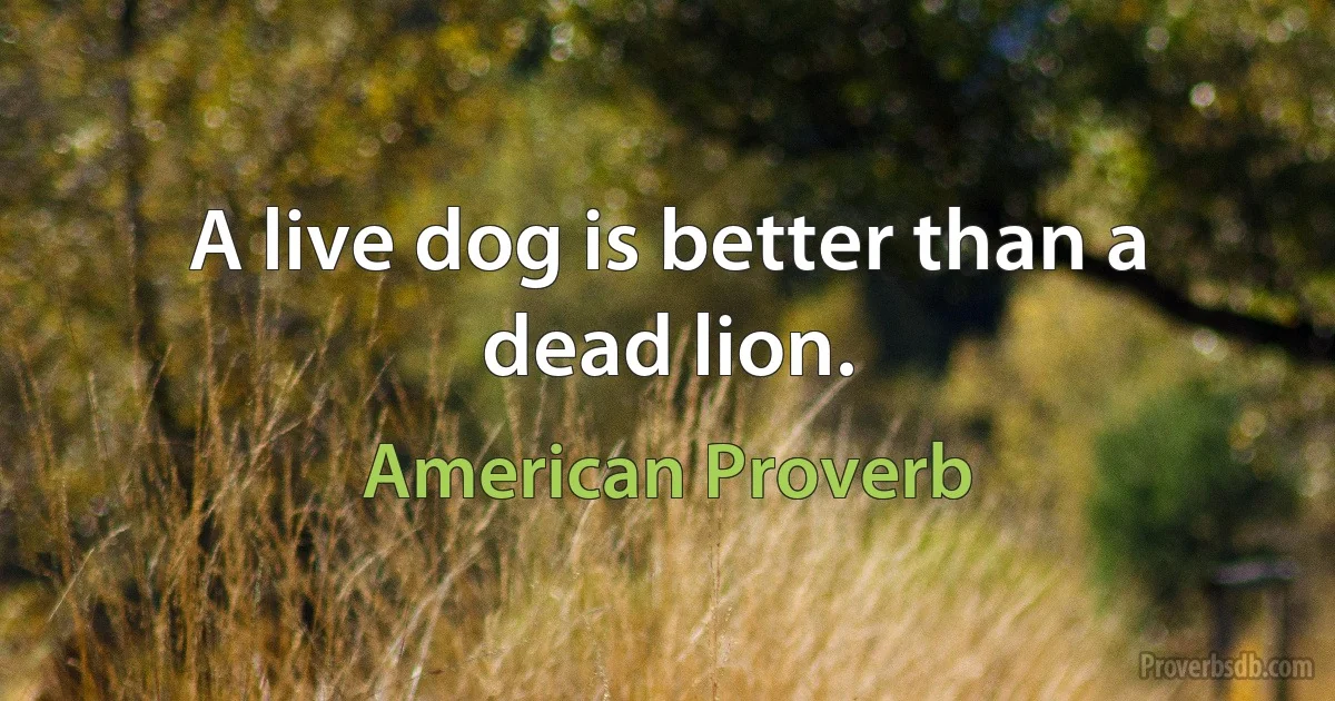 A live dog is better than a dead lion. (American Proverb)