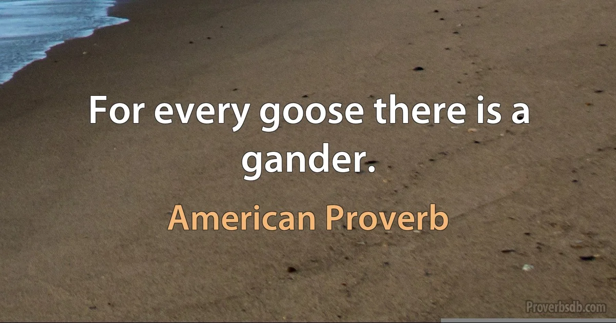 For every goose there is a gander. (American Proverb)