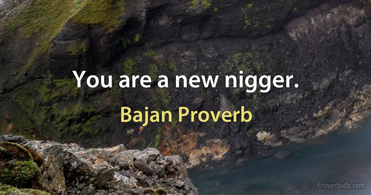 You are a new nigger. (Bajan Proverb)