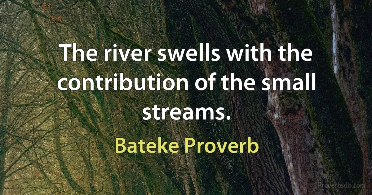 The river swells with the contribution of the small streams. (Bateke Proverb)