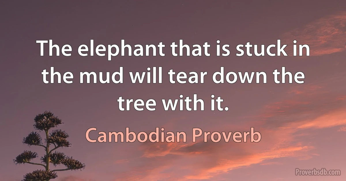 The elephant that is stuck in the mud will tear down the tree with it. (Cambodian Proverb)