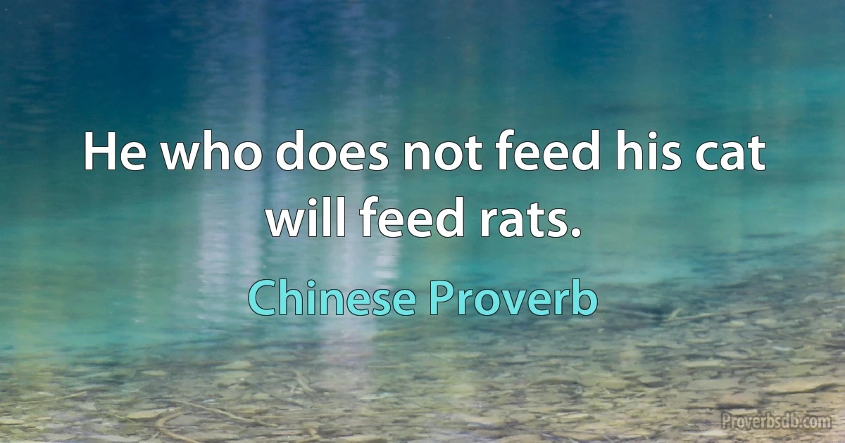 He who does not feed his cat will feed rats. (Chinese Proverb)