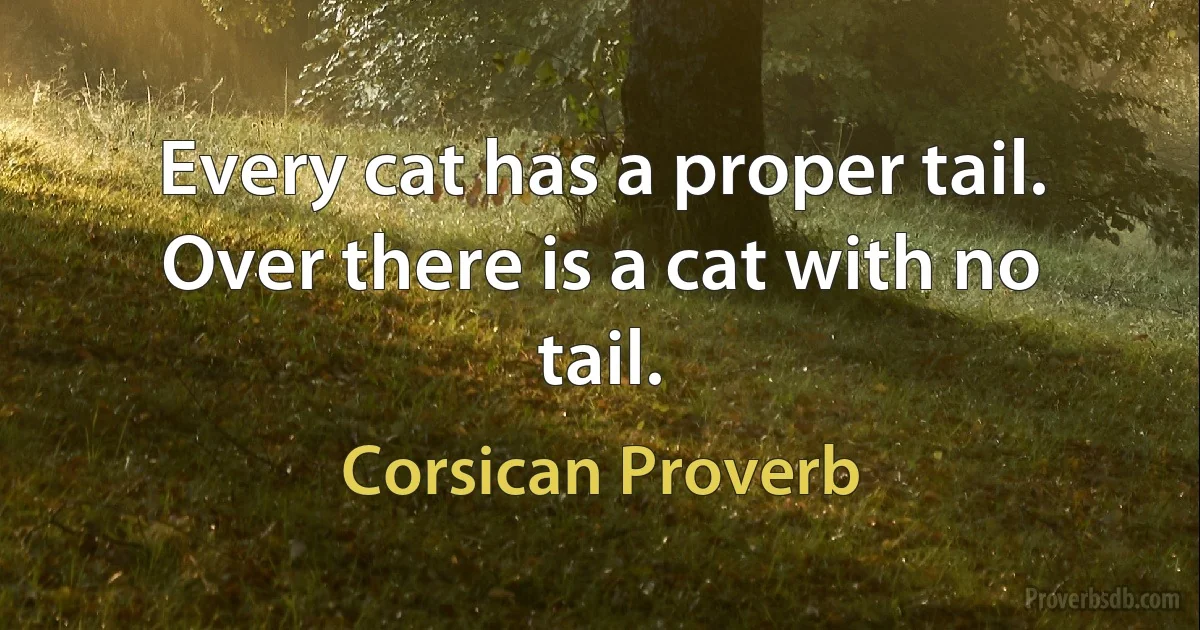 Every cat has a proper tail. Over there is a cat with no tail. (Corsican Proverb)