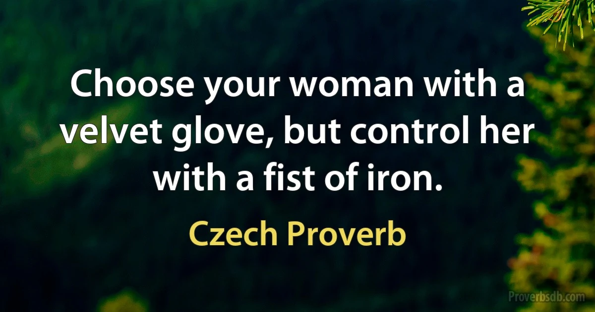 Choose your woman with a velvet glove, but control her with a fist of iron. (Czech Proverb)