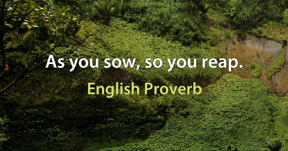 As you sow, so you reap. (English Proverb)