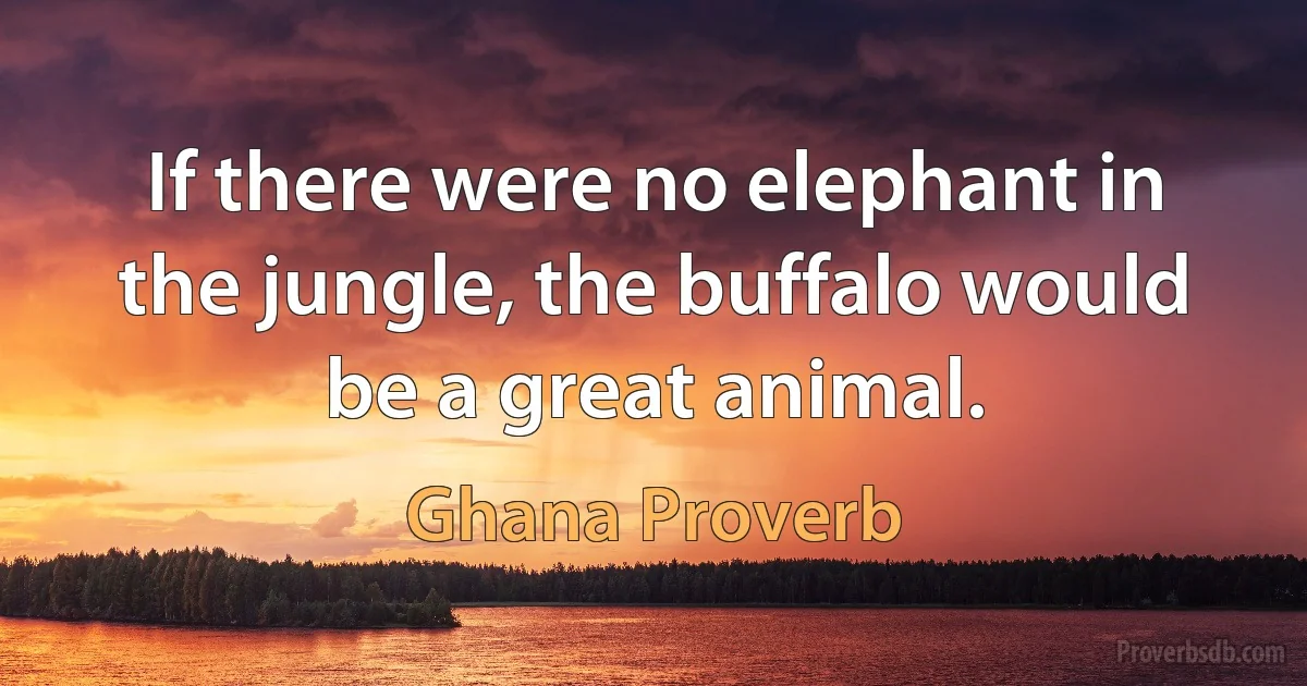 If there were no elephant in the jungle, the buffalo would be a great animal. (Ghana Proverb)