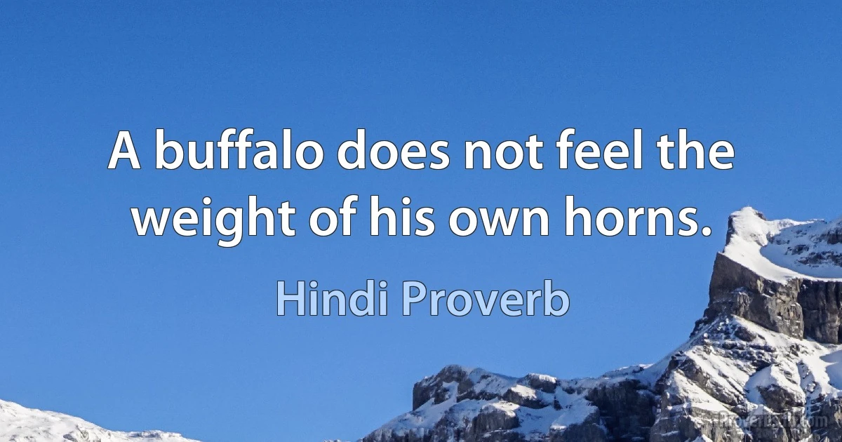 A buffalo does not feel the weight of his own horns. (Hindi Proverb)