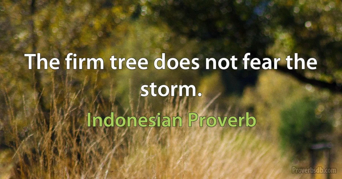 The firm tree does not fear the storm. (Indonesian Proverb)