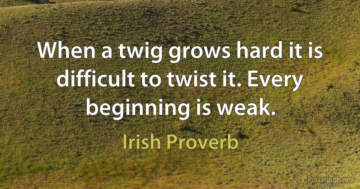 When a twig grows hard it is difficult to twist it. Every beginning is weak. (Irish Proverb)