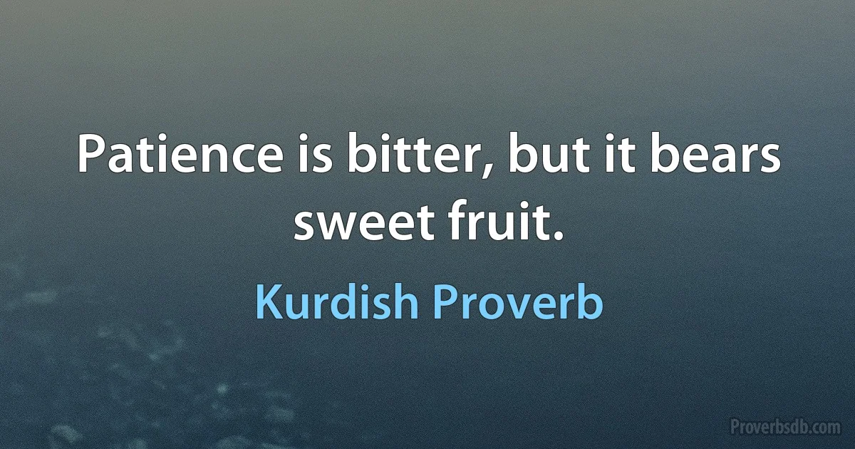 Patience is bitter, but it bears sweet fruit. (Kurdish Proverb)