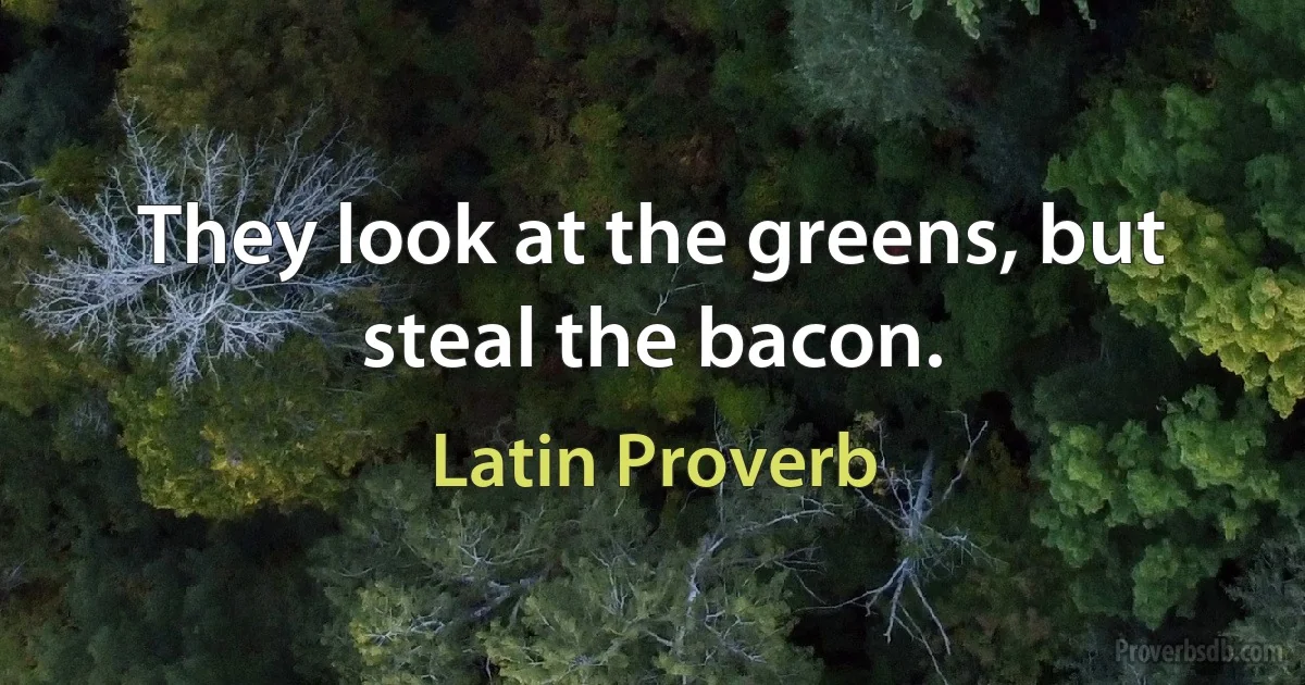 They look at the greens, but steal the bacon. (Latin Proverb)