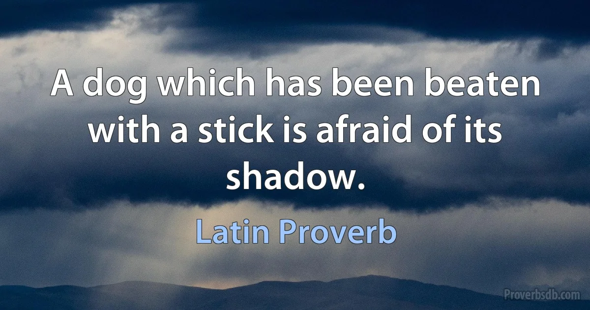 A dog which has been beaten with a stick is afraid of its shadow. (Latin Proverb)